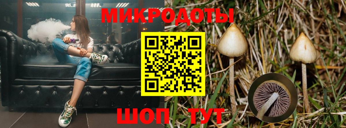 Галлюциногенные грибы MAGIC MUSHROOMS  Галлюциногенные грибы Psilocybine cubensis  Надым  Вход с VPN 