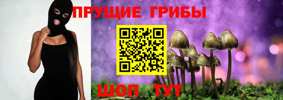 Псилоцибиновые грибы прущие грибы Надым